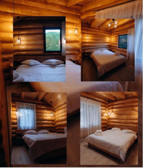 Cabana Vasyon
